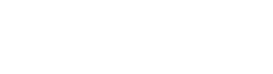 BASIC PARAMETERS OF REGULATION CF